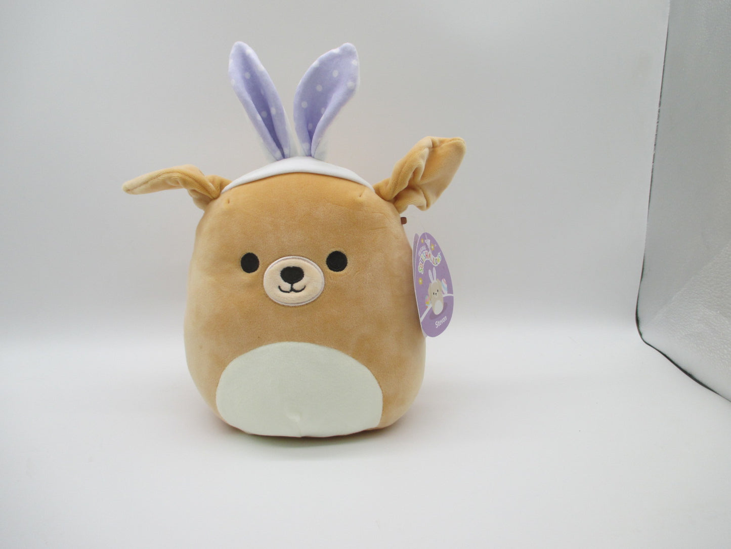 Stevon 8 Labrador Ears