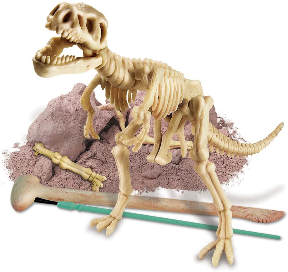 Dig a Dino T-Rex