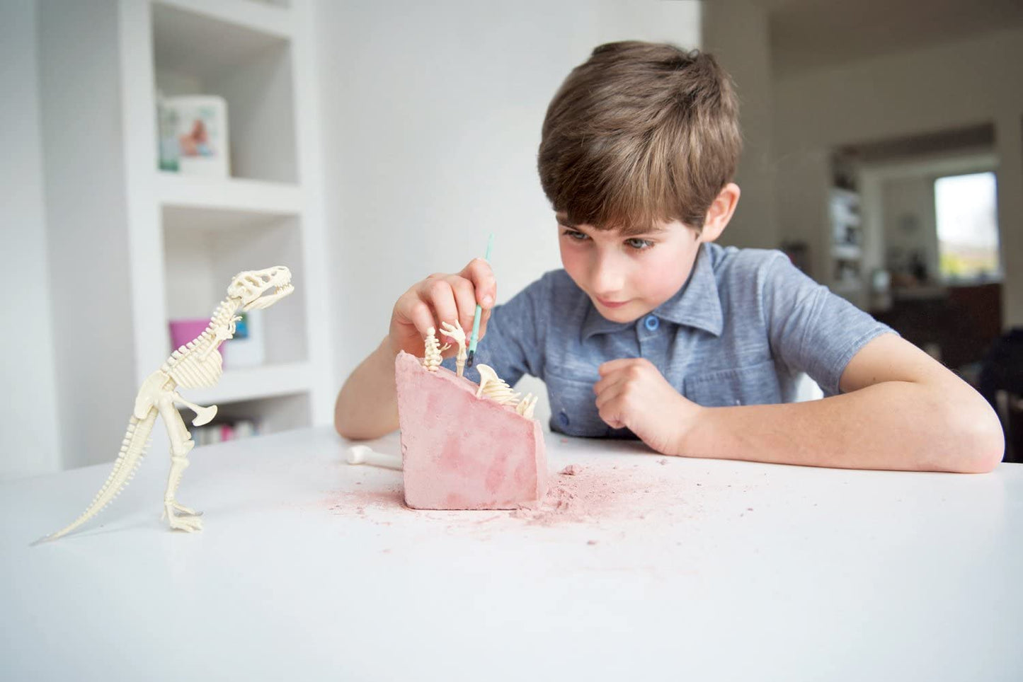 Dig a Dino T-Rex