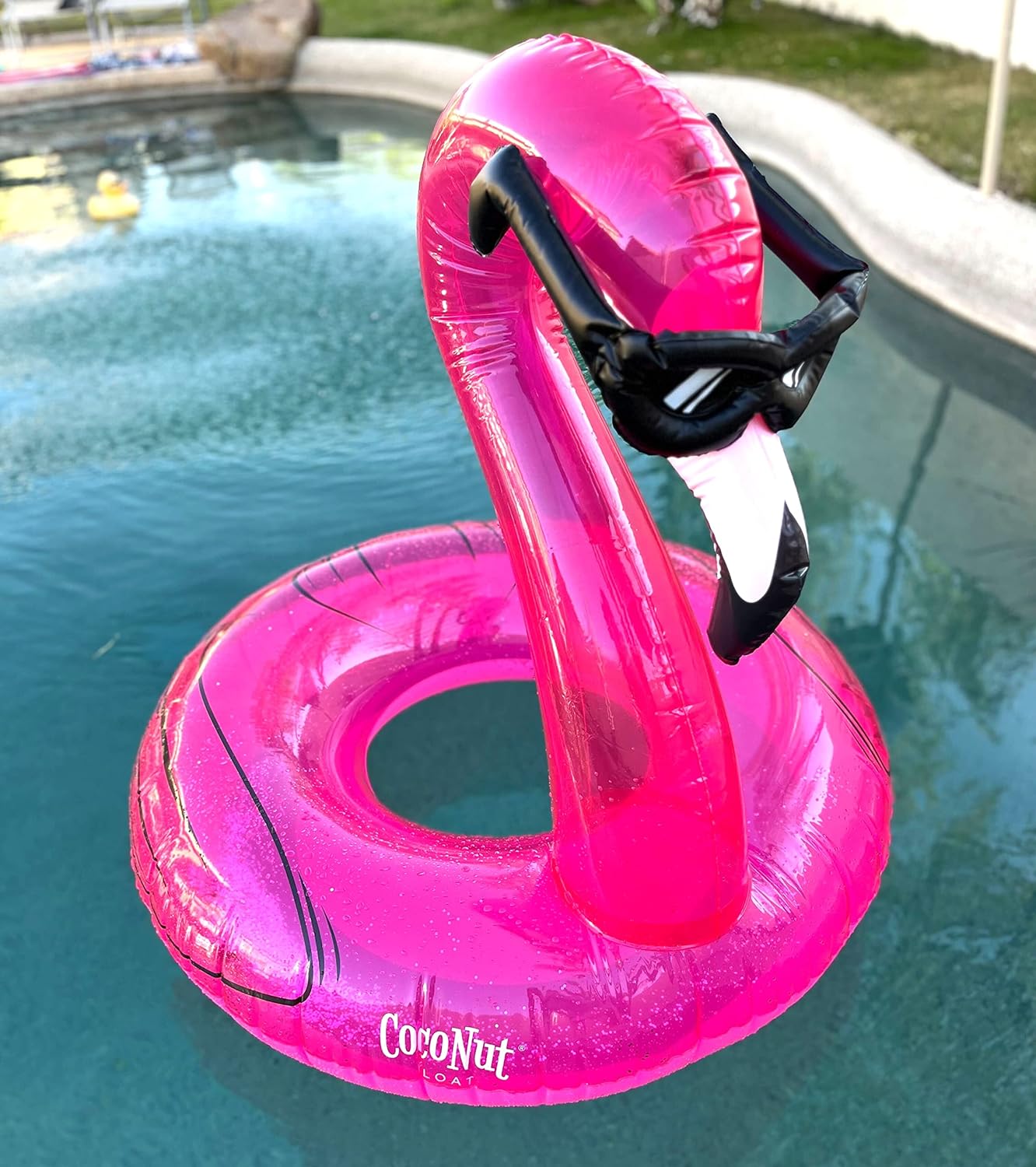 Flamingo with Shades Pool