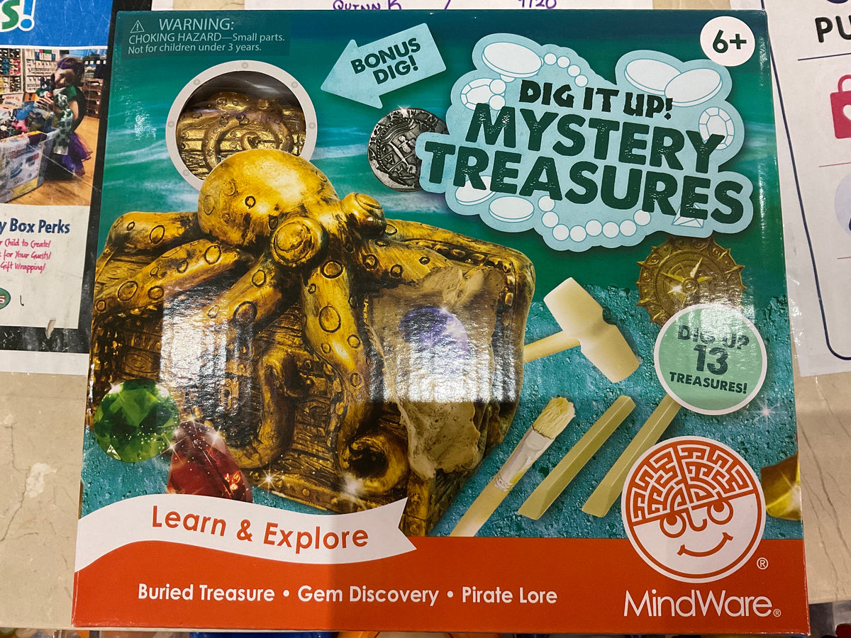 Dig It Up! Mystery Treasure Chest