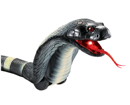 Slithering Snake