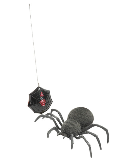 Spooky Spider