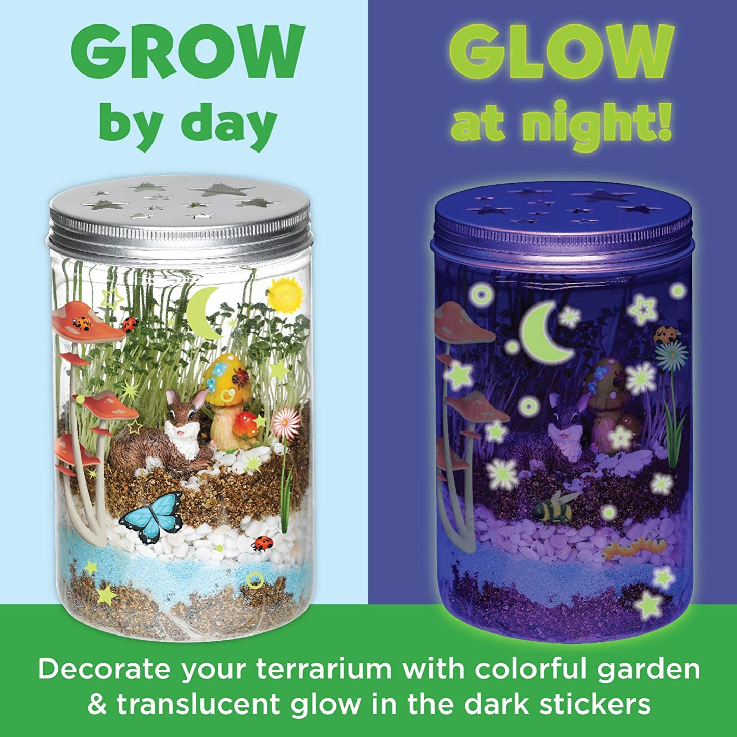 Grow N' Glow Terrarium