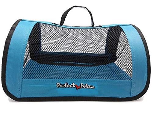 Blue Tote Carrier