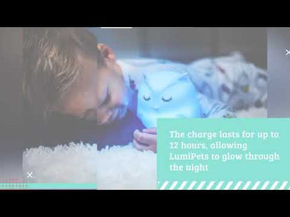 Lumipets Owl Led W Remote