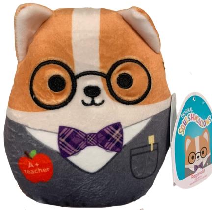 Reginald 8 Corgi Teacher