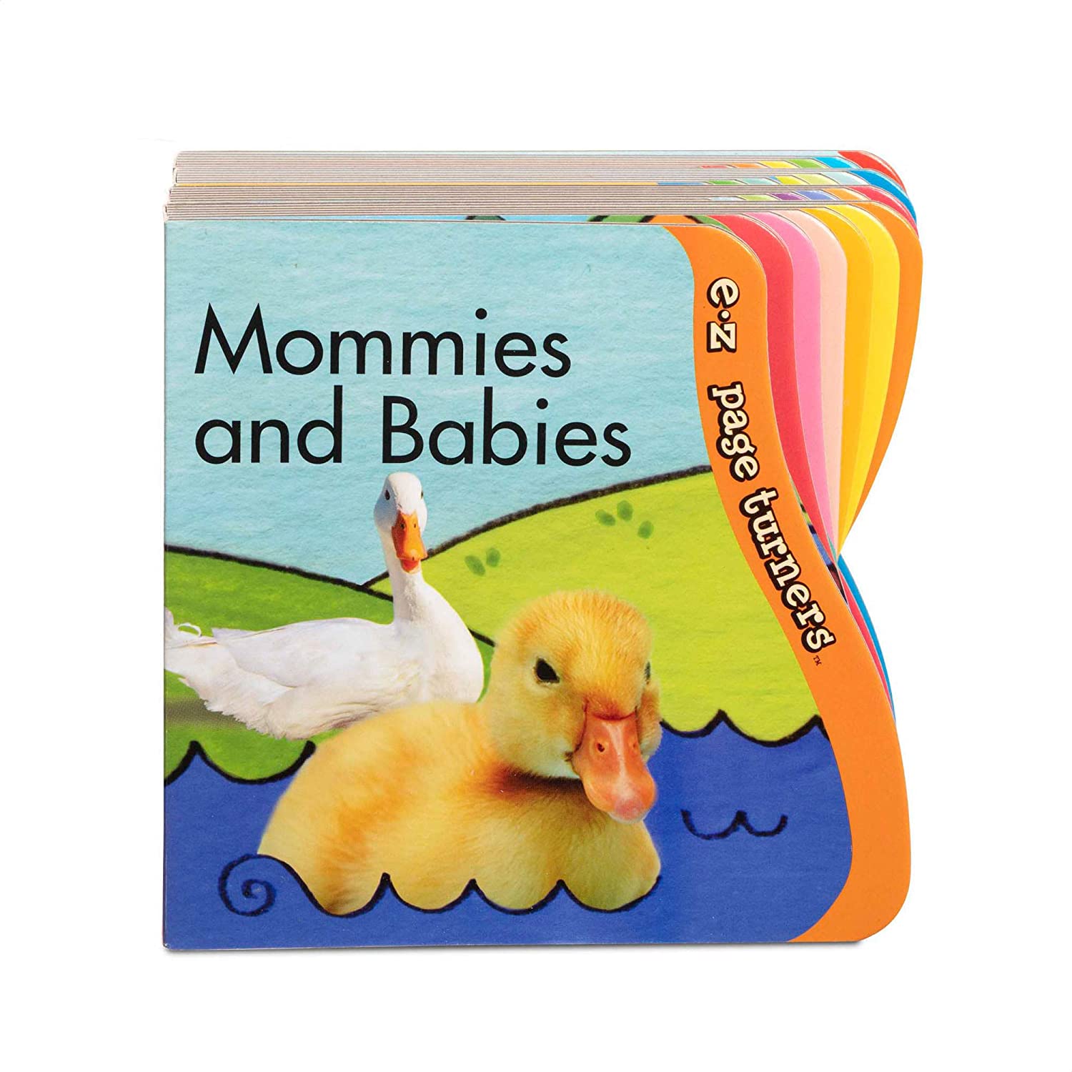 Ez Page Turner Bk Bundl
