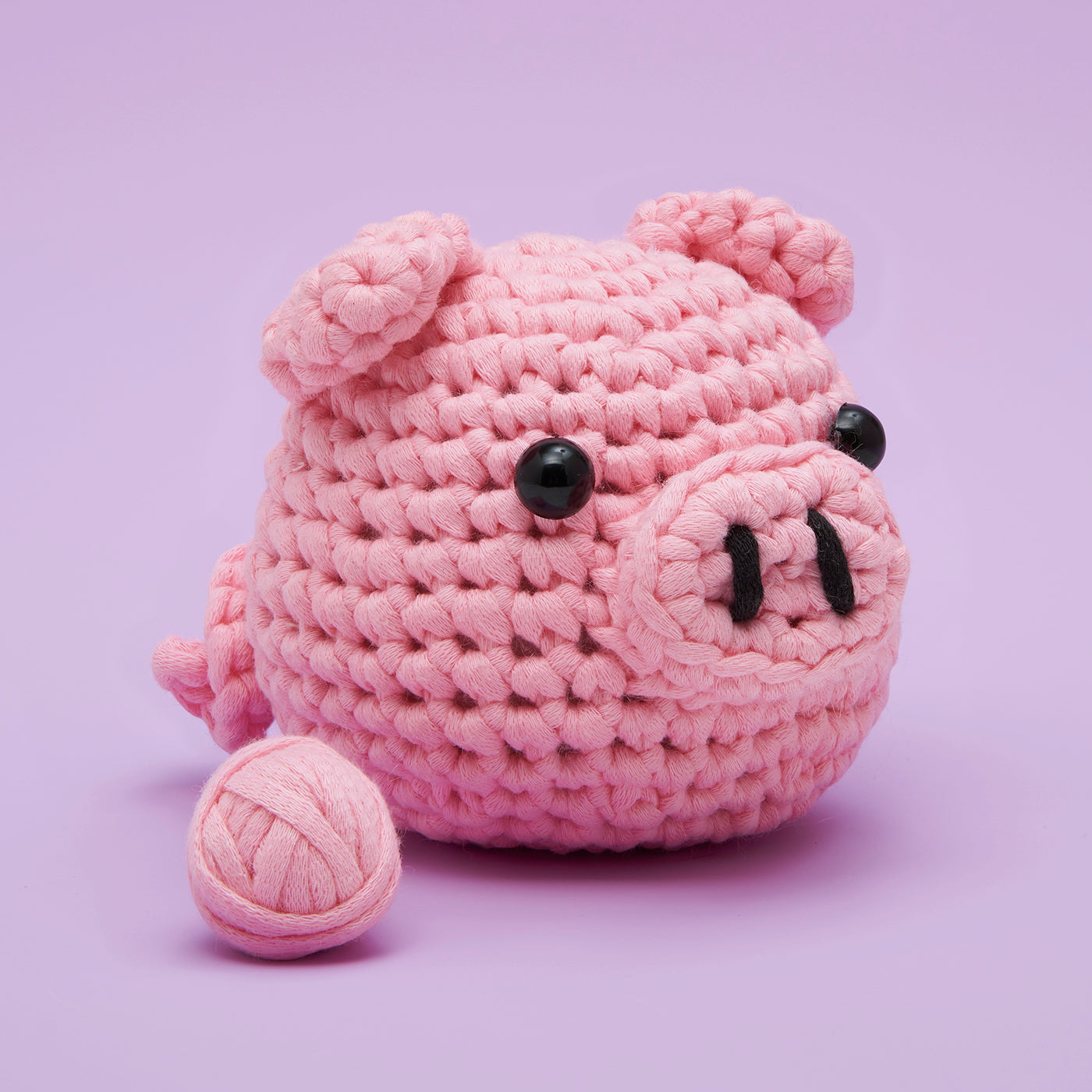 Bacon the Pig Beginner