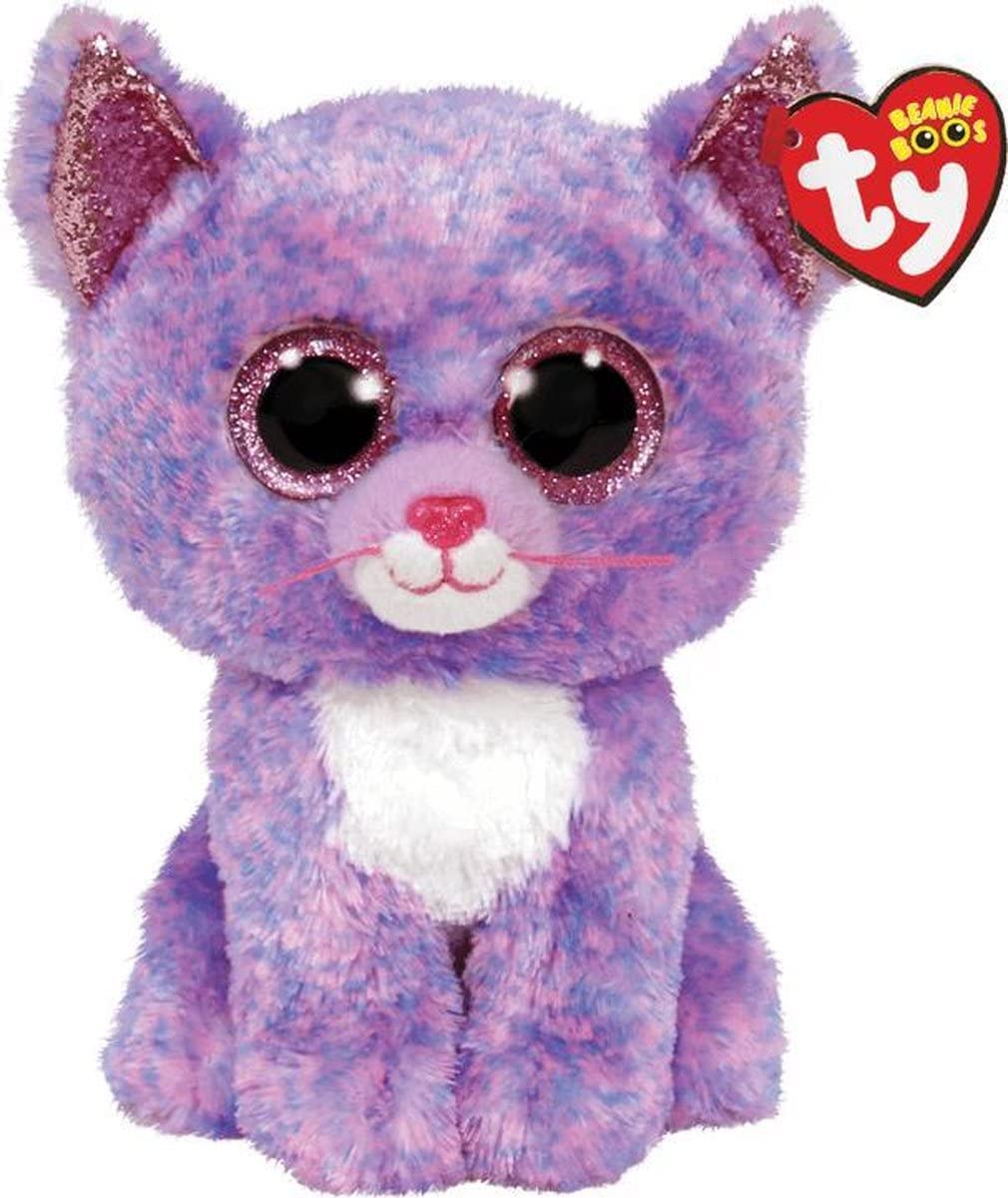 Cassidy Cat Lavender Reg