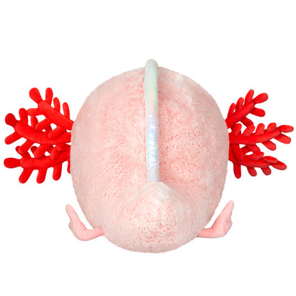Baby Axolotl