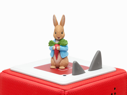 Peter Rabbit Story